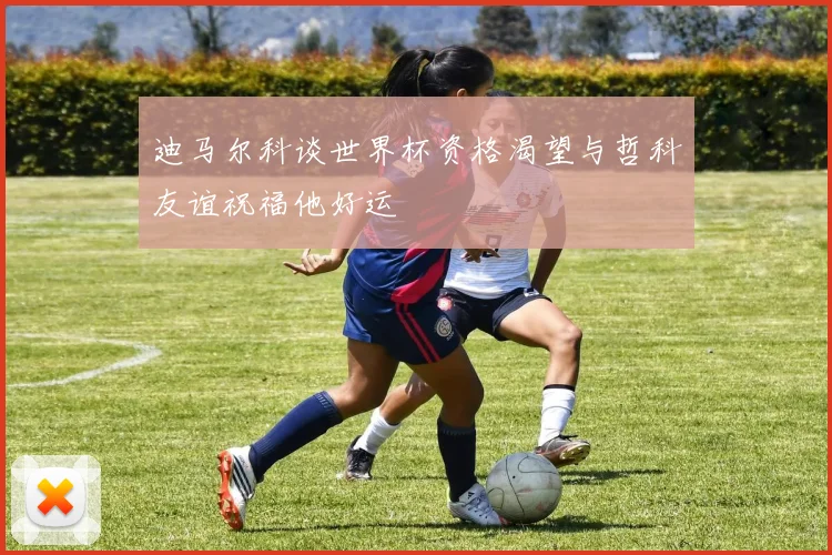 迪马尔科谈世界杯资格渴望与哲科友谊祝福他好运