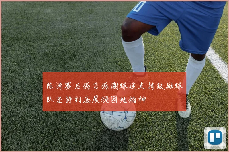 陈涛赛后感言感谢球迷支持鼓励球队坚持到底展现团结精神